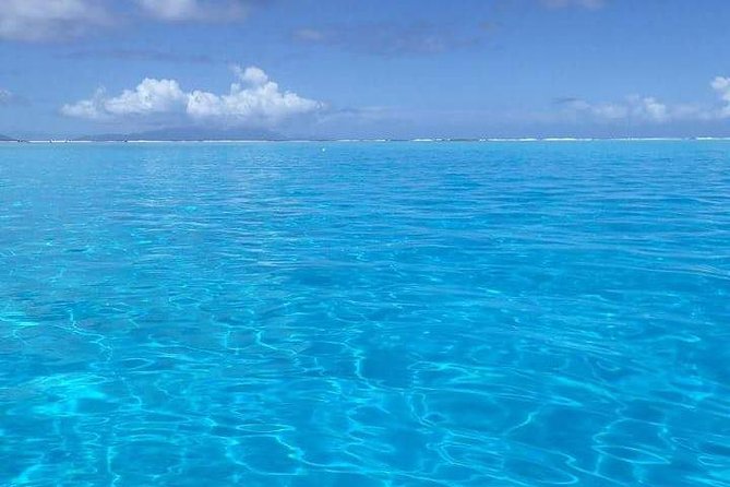 Combo Diving and Snorkeling Half-Day Tour - Starting at 8:30 a.m. with pickup