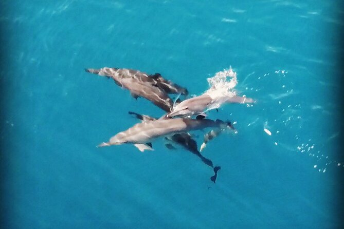 Combo Jet Ski Excursion + 4X4 Safari - Why this Moorea combo works well