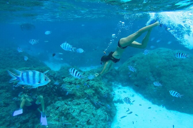 Combo snorkeling + motu lunch + jet ski group tour full day - Why this combo works so well in Bora Bora