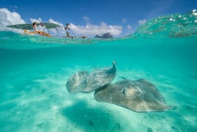 Combo snorkeling + motu lunch + jet ski group tour full day
