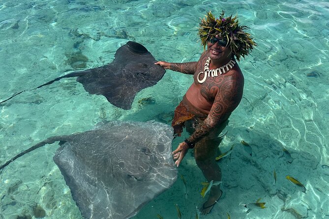 Crazy sea horse Bora Bora Comfortable boat, snorkeling and lunch - Who will enjoy this boat trip most?