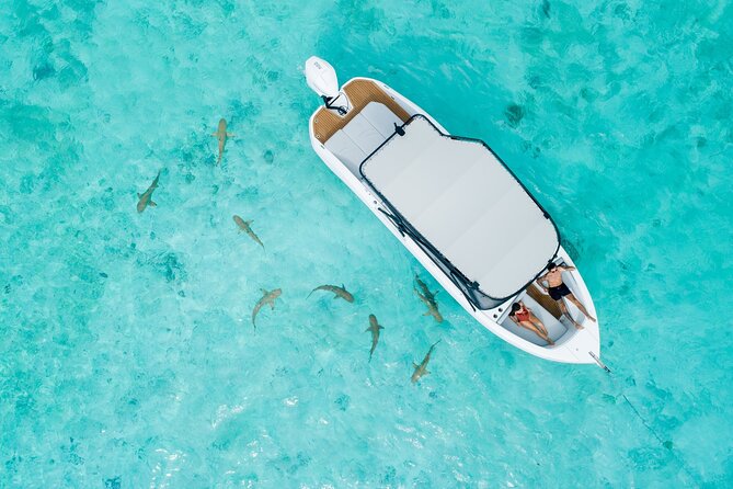 Crazy sea horse Private Sunset Tour in Bora Bora - Mo and Tu add a personal touch
