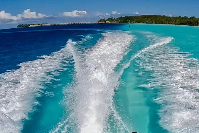 Crazyseahorseborabora Comfortable boat , sensational snorkeling . - Who will enjoy this outing most