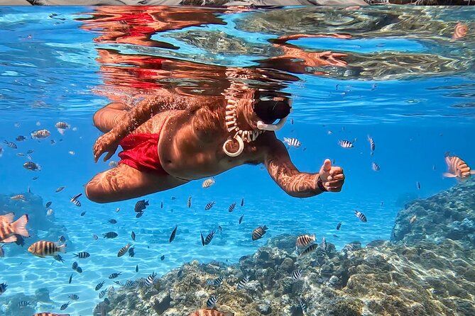 Crazyseahorseborabora Comfortable boat , sensational snorkeling . - Finding the meeting point at the main dock