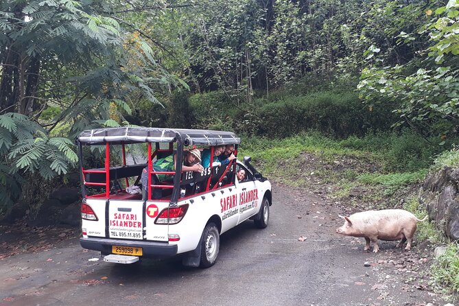 Crossing Island of Tahiti 4x4 Mountain, Waterfall, River, Basins - The ride is the attraction and the warning