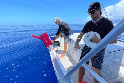 DEEP SEA FISHING 1/2 day (private group)