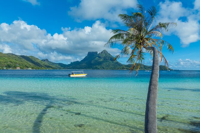 Discover the black pearl in Bora Bora - Who will enjoy this experience most?