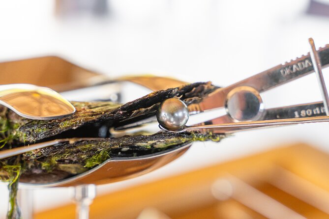 Discover the black pearl in Bora Bora - The boat ride to motu Taufarii
