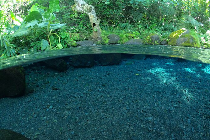 Discovering the emblematic sites of Tahiti - Arahurahu Marae connects the scenery to Polynesian culture