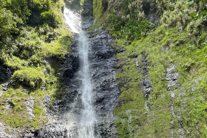 Discovering the emblematic sites of Tahiti - Parc Vaipoopoo ends the day at Moorea views