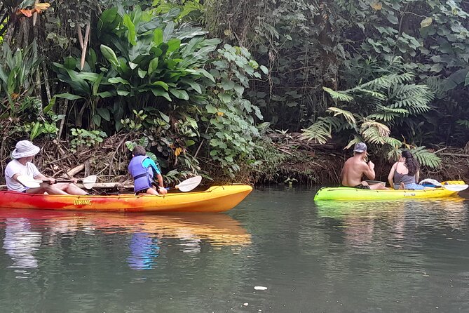 Discovery in Kayaking of the Faaroa River in Raiatea - Key points at a glance