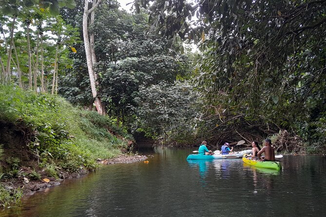 Discovery in Kayaking of the Faaroa River in Raiatea - Who will enjoy this Raiatea kayak tour?