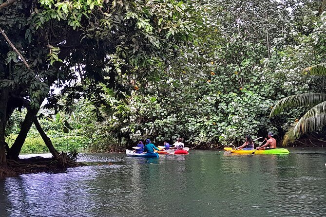 Discovery in Kayaking of the Faaroa River in Raiatea - The local guide is part of the value