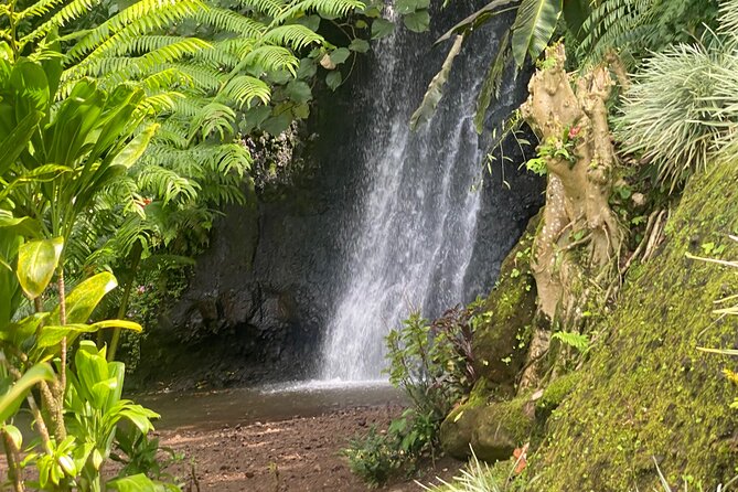 Discovery of Tahiti Nui Island - At a Glance: What You Need to Know