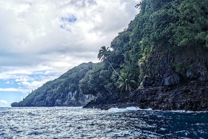 Discovery of the Tahiti Teahupo'o Jurassic Tour peninsula - What the price means in practical terms