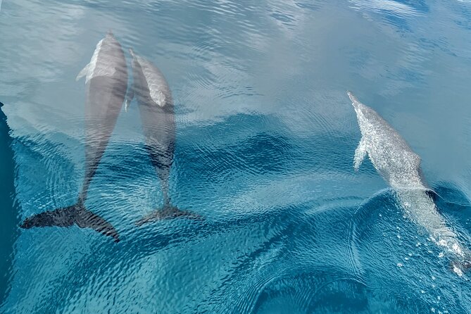 Discovery of the Tahiti Teahupo'o Jurassic Tour peninsula - Who will enjoy this most