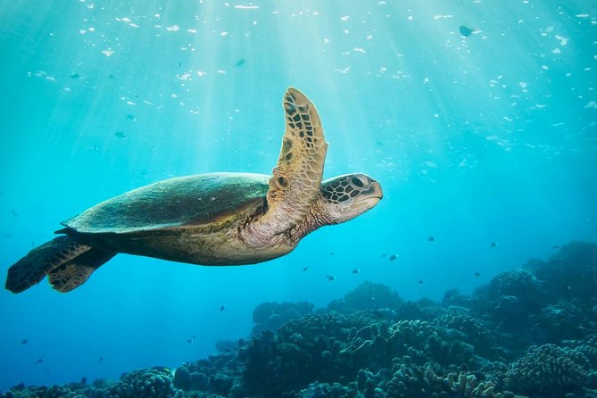 Discovery Program - What the first underwater session adds