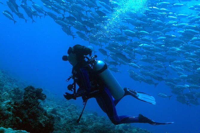 Diving initiation - What happens before you enter the water