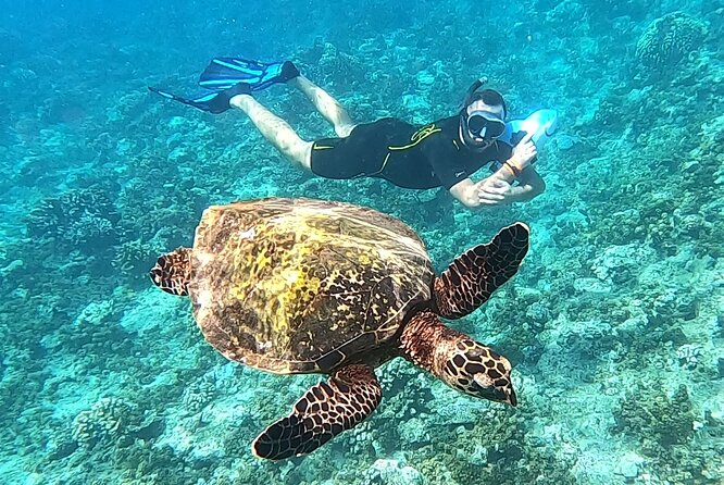 Diving initiation - Who should book this Tahiti experience?