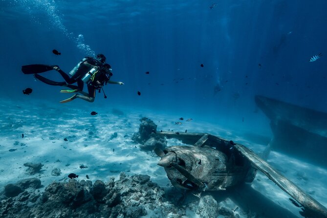 Diving initiation - The 10:30 a.m. meeting and small-group setup