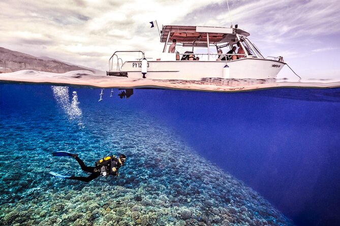 Double Diving Adventure Exploration for Certified Divers - Key points to know before booking