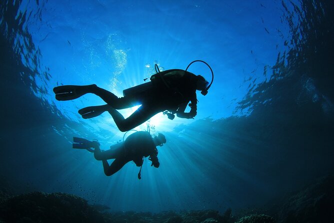 Double Diving Adventure Exploration for Certified Divers - Why the group limit matters underwater