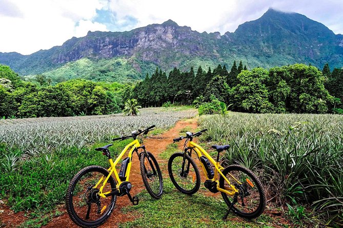 E-Bike Moorea Electric Bike Belvedere Tour (2 people minimum) - Group size, pickup, and the morning schedule