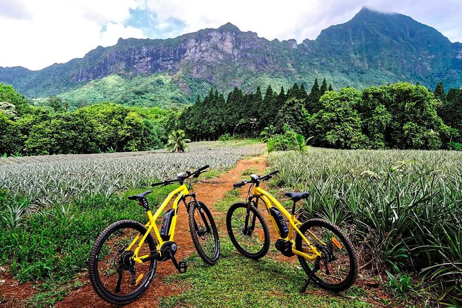 E-Bike Moorea Electric Bike Rental Moorea - Key Things to Know Before You Ride