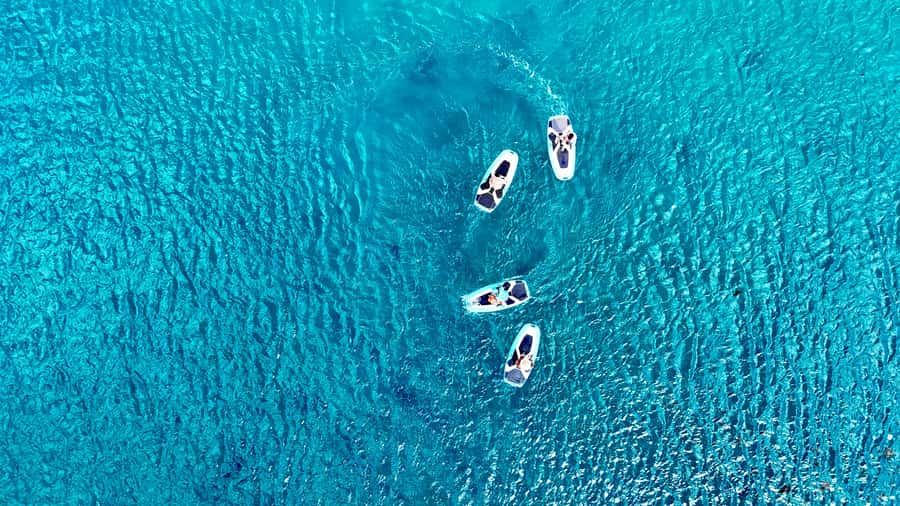 E-Board private tour of Moorea lagoon - Key Points at a Glance