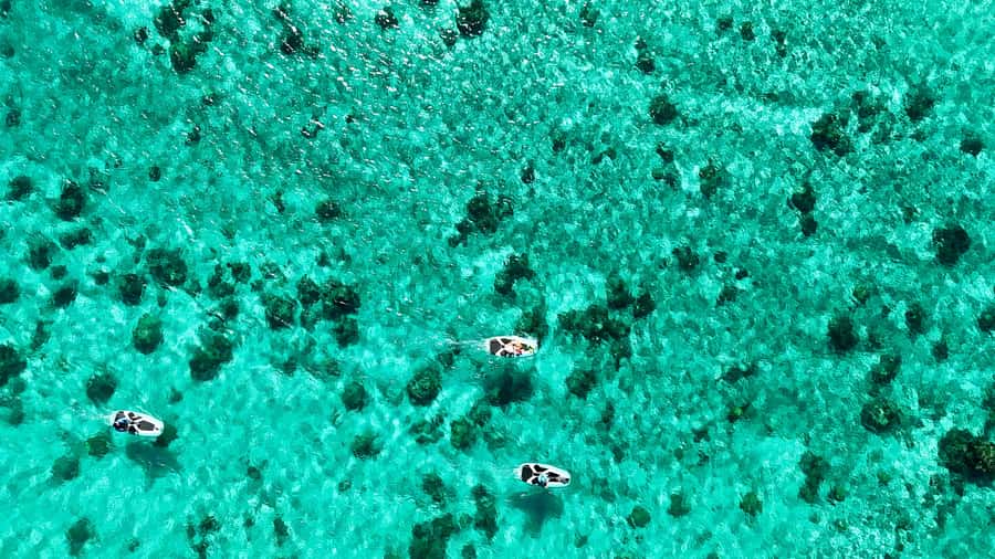 E-Board private tour of Moorea lagoon - Why Moorea’s Lagoon Works So Well for This Tour