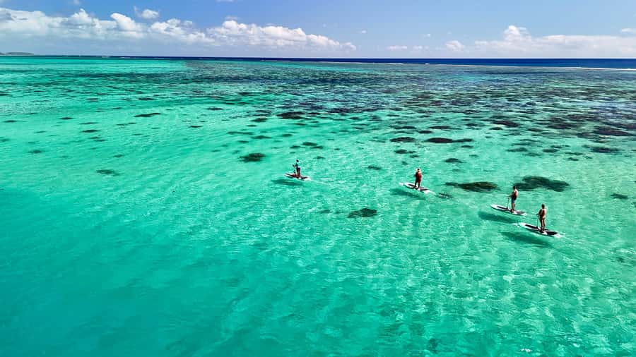 E-Board private tour of Moorea lagoon - Learning the E Board Before Cruising