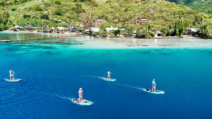 E-Board private tour of Moorea lagoon - Snorkeling in the Coral Garden