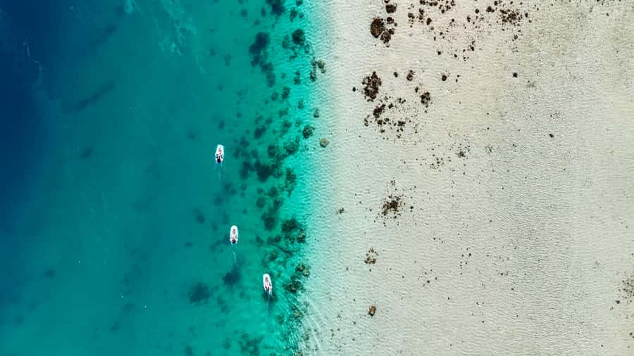 E-Board private tour of Moorea lagoon - What the Two-Hour Schedule Means