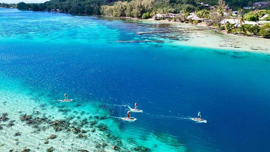 E-Board private tour of Moorea lagoon - Starting at Reception and Reaching the Beach