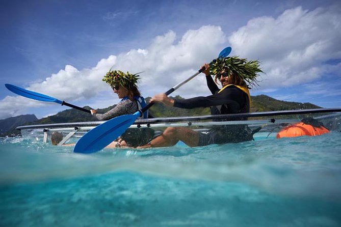 Eco guided excursion to the lagoon of Moorea in transparent kayak 1/2 day morning - The guides make the difference