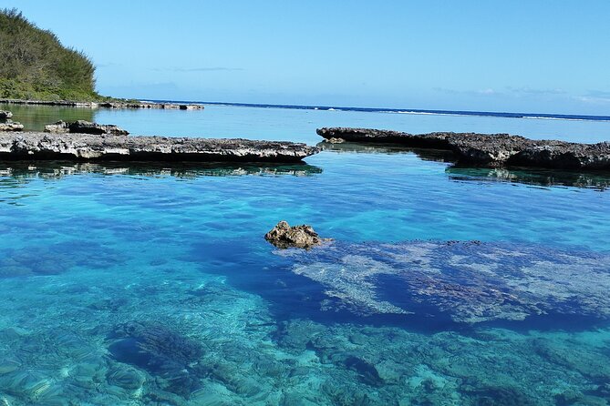 Eco Kayak Excursion in Moorea Lagoon for a Day - Swimming with stingrays and blacktip sharks