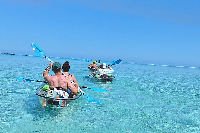 Eco Kayak Excursion in Moorea Lagoon for a Day - Turtles and marine life beneath your seat