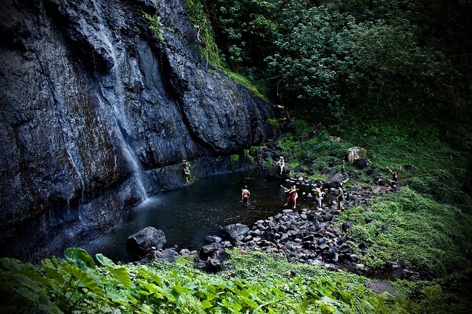 Enjoy Moorea Day Tour - Temae turns lunch into the day’s centerpiece