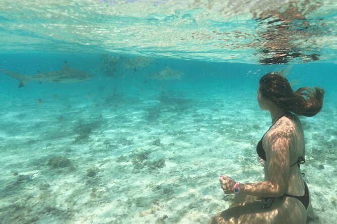 Exceptional Half day on the turquoise lagoon of Bora Bora - Timing, weather, and the practical details