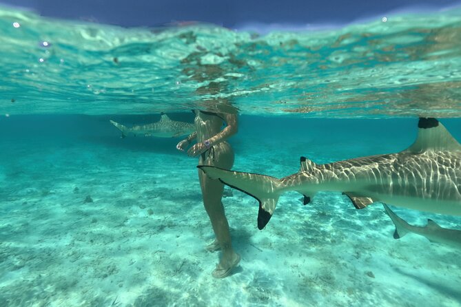 Exceptional Half day on the turquoise lagoon of Bora Bora - What to bring and how to make the most of it