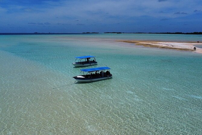 Excursion The Blue Lagoon and Reef Island - Four things to know before you book