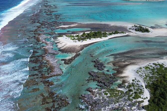 Excursion The Blue Lagoon and Reef Island - How the transfers work