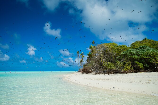 Excursion to Tetiaroa by Catamaran Visit Lunch Snorkeling - The return to Papeete and final punch