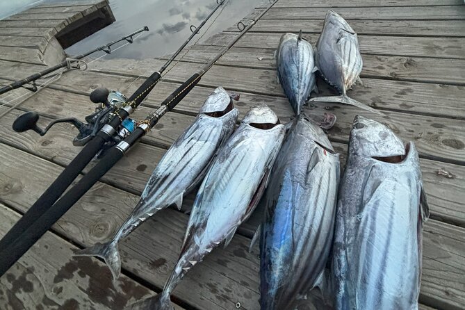 Exit fishing wholesale - What this Moorea fishing trip is really like