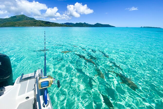 Exploration, Taha'a Lagoon Tour by Private Boat - Key Points Before You Book