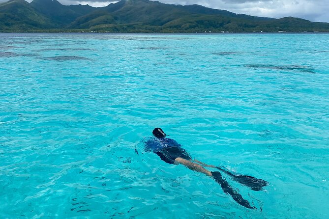 Exploration, Taha'a Lagoon Tour by Private Boat - Sharks, Rays, Turtles, and Several Reef Stops