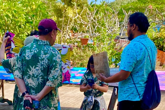 Explore Bora Bora with Private Premium Mini Van - Why a minivan tour makes sense on Bora Bora