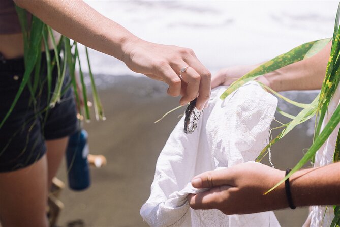Explore old-fashioned Polynesian life and prepare a local meal - Meeting Hervé, Navigator and Storyteller
