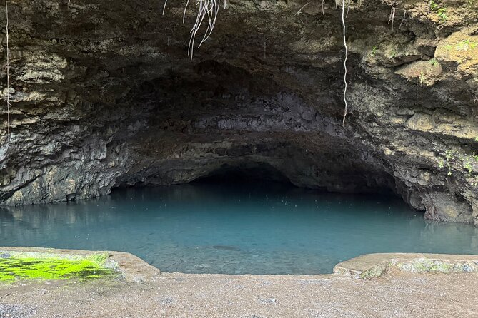 Explore Tahiti in depth in a day - Twin Waterfalls keeps the pace moving