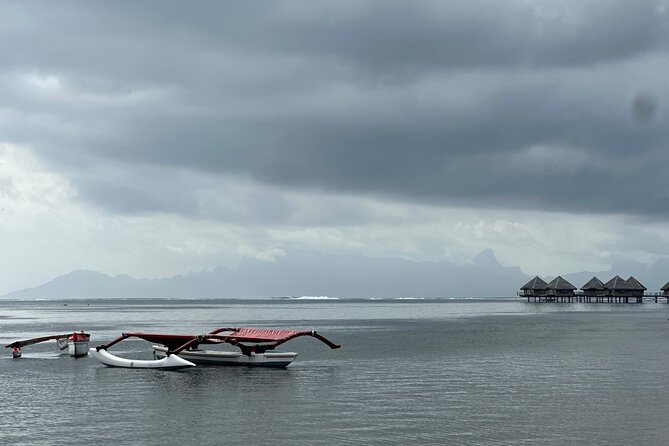 Explore Tahiti in depth in a day - The vehicle and included extras improve a long day